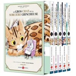 Gros Chat et la Sorcière grincheuse (Le) - coffret intégrale