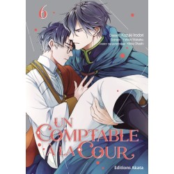 Comptable à la Cour (un) T.06