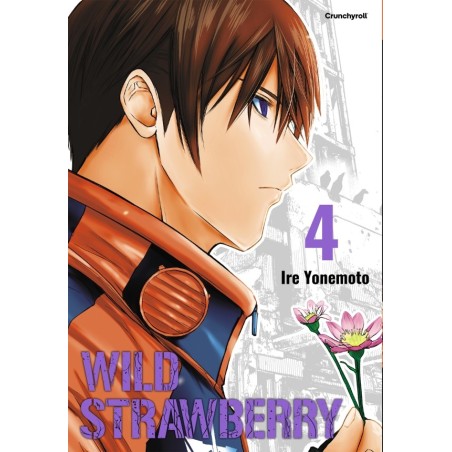 Wild Strawberry T.04