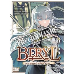 Beryl : de paysan à maître d'armes T.03