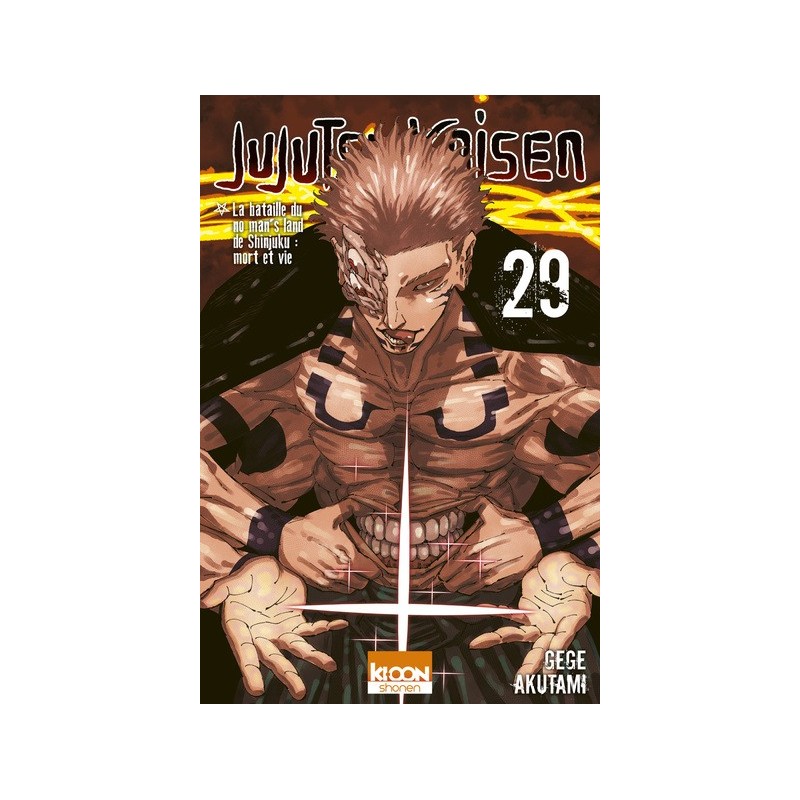 Jujutsu Kaisen T.29