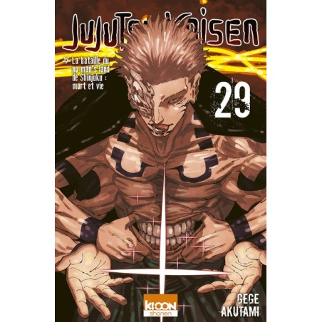 Jujutsu Kaisen T.29