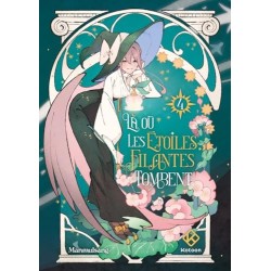 Là où les étoiles filantes tombent T.04