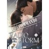 Radio Storm T.04