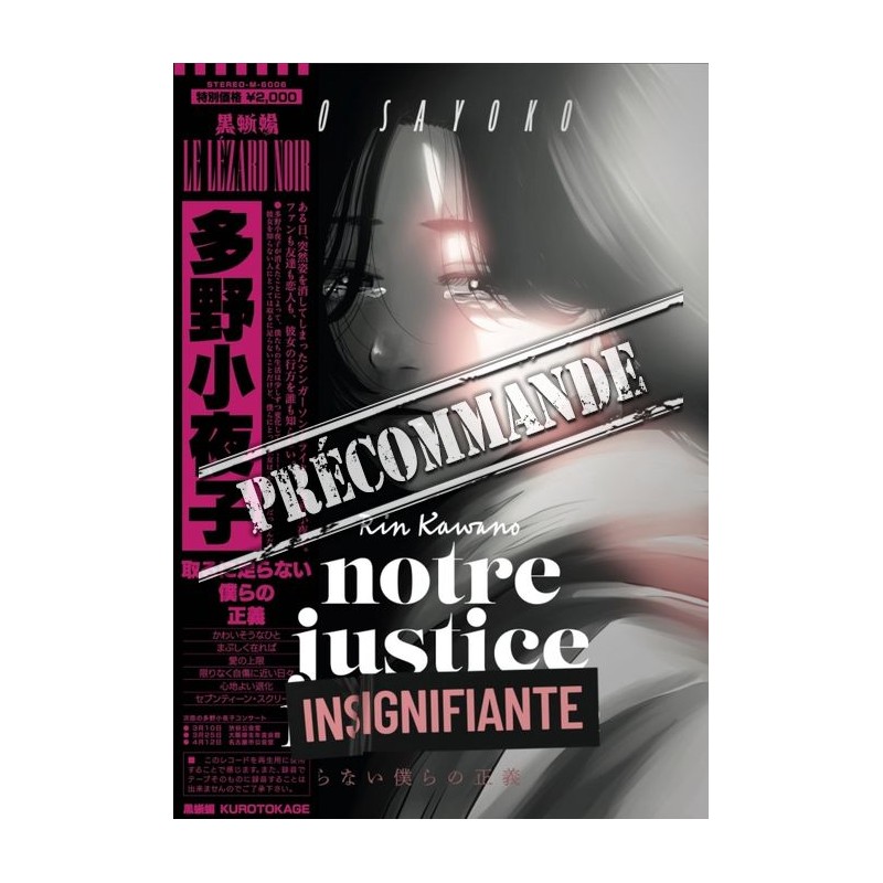 Notre justice insignifiante