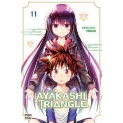Ayakashi Triangle T.11
