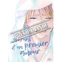 Journal d'un premier amour
