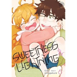 Sweetness & Lightning T.06