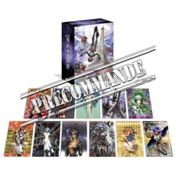 The Ghost in the Shell Perfect edition - Coffret