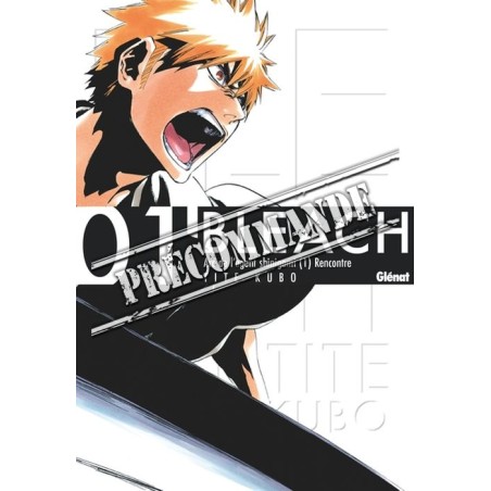 Bleach Deluxe T.01