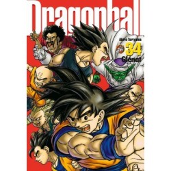 Dragon Ball perfect édition, manga, shonen, 9782344004289