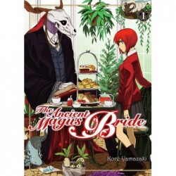 The ancient magus bride, manga, shonen, 9782372870276