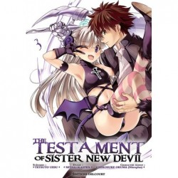 The testament of sister new devil T.03