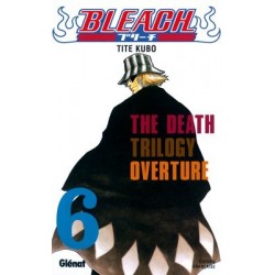 Bleach T.06
