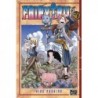 Fairy Tail, manga, shonen, 9782811627287,