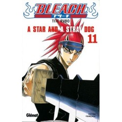 Bleach T.11