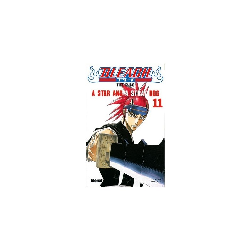 Bleach T.11