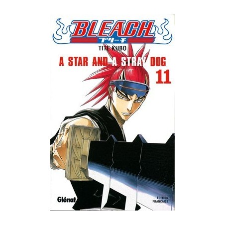 Bleach T.11