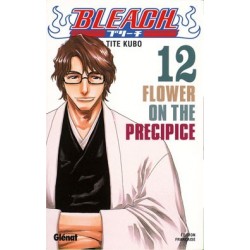 Bleach T.12