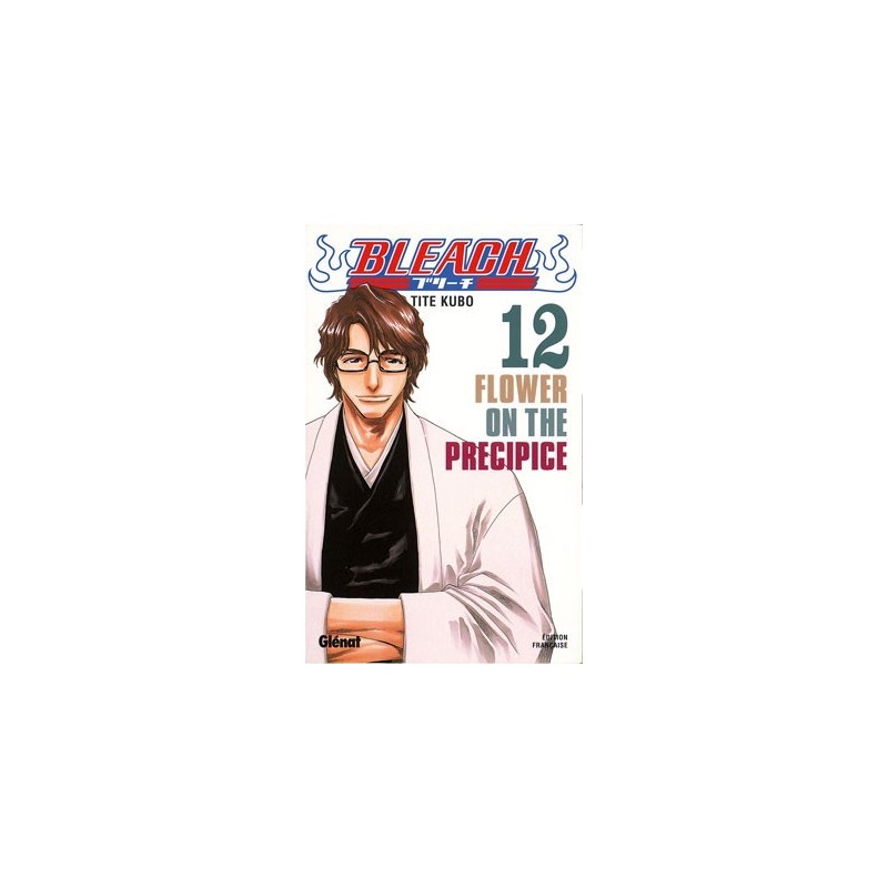 Bleach T.12