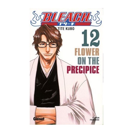 Bleach T.12