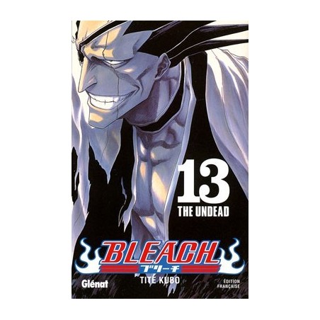 Bleach T.13