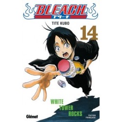 Bleach T.14