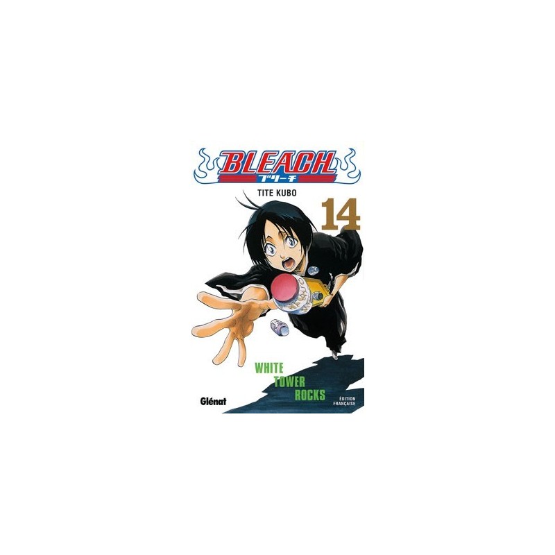 Bleach T.14