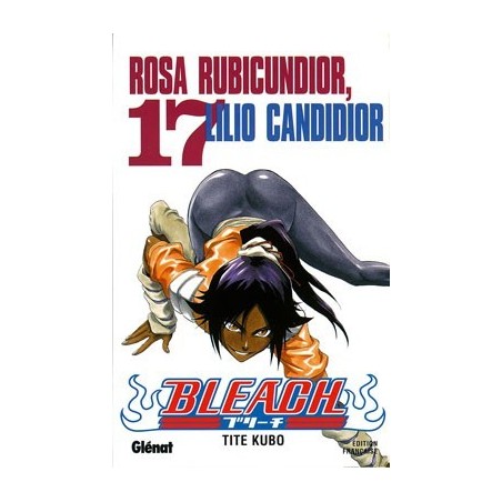 Bleach T.17