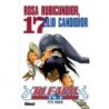 Bleach T.17